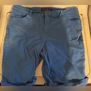 Gloria Vanderbilt Blue Shorts